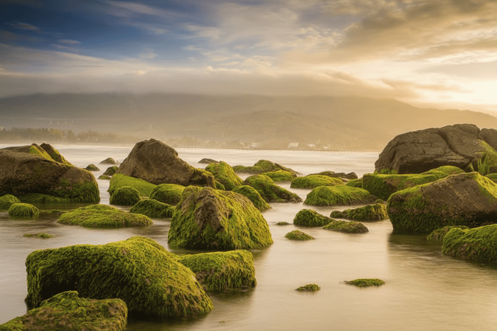 Mùa xuân nơi đây được ưu ái với mùa xanh mướt của rêu phủ đầy các rạn đá lớn nhỏ.